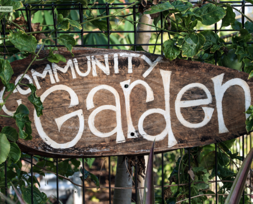 Sisters Community Garden Looking for a Garden Manager