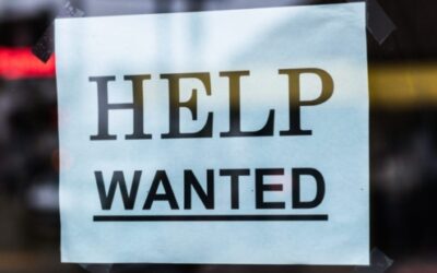 Help Wanted:  Feasibility Study Developer
